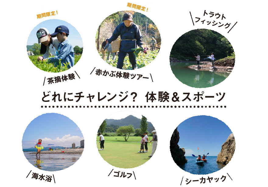 どれにチャレンジ?体験プログラム