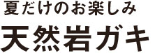 夏だけのお楽しみ 天然岩ガキ