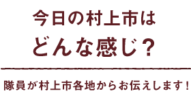 写真とともに隊員が今日の村上の様子をお伝えしていきます！