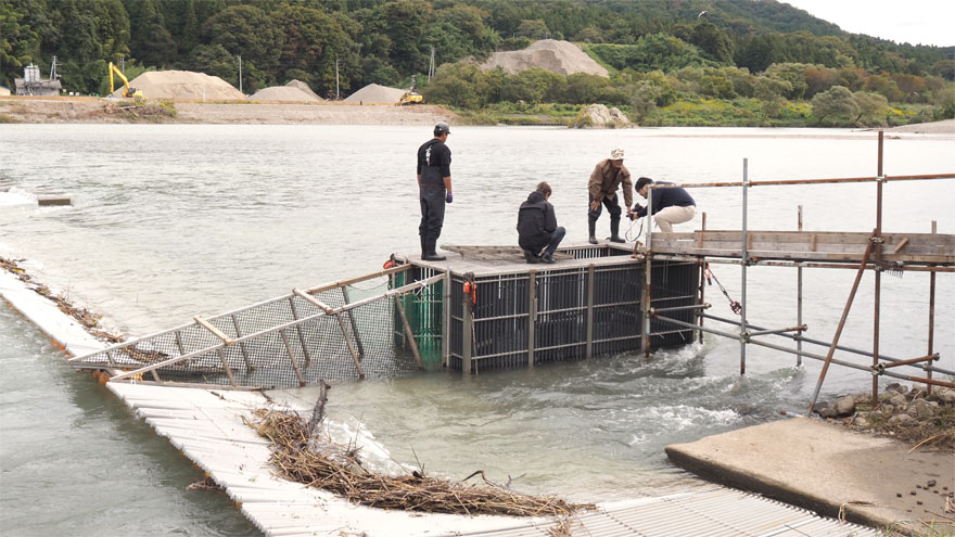 %e3%82%a6%e3%83%a9%e3%82%a4%e5%b7%a6%e5%b2%b8