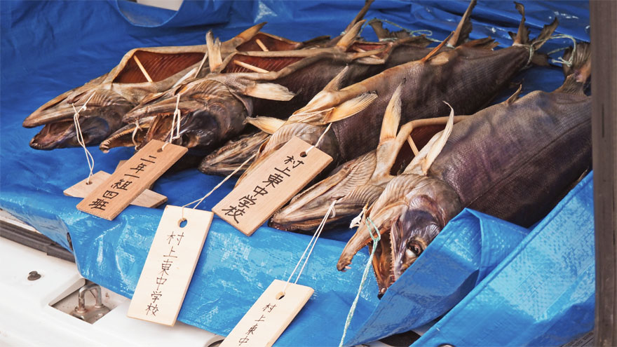 %e6%9d%b1%e4%b8%ad%e7%94%9f%e5%be%92%e3%81%8c%e4%bd%9c%e3%81%a3%e3%81%9f%e5%a1%a9%e5%bc%95%e3%81%8d%e9%ae%ad