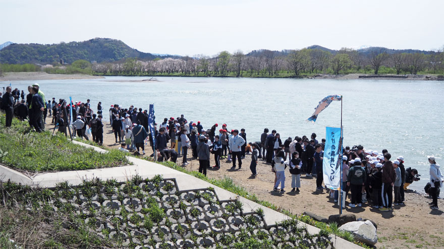 %e6%94%be%e6%b5%81%e5%bc%8f2