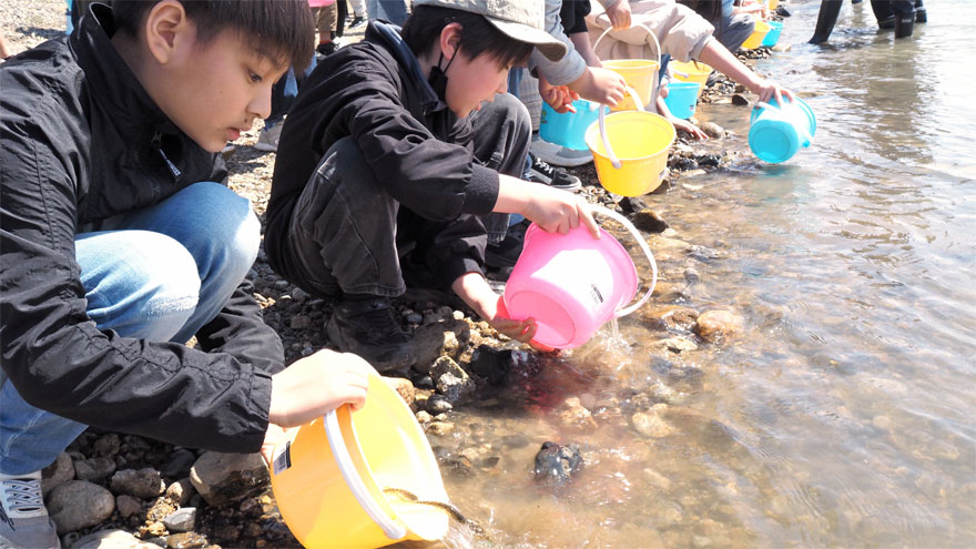 %e6%94%be%e6%b5%81%e5%bc%8f1