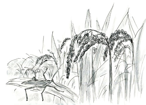 %e8%b6%8a%e5%be%8c%e6%b0%b8%e6%ad%a3%e3%81%ae%e5%a4%a7%e4%b9%b1%e3%81%a8%e4%b8%89%e9%9d%a2%e6%9d%91%e3%81%ae%e5%85%88%e7%a5%964