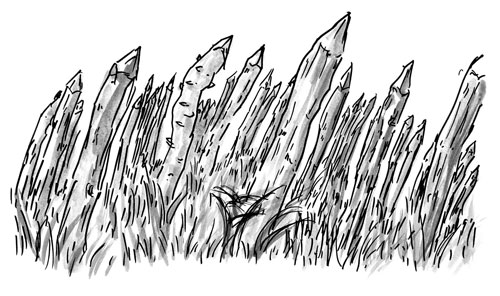 %e8%b6%8a%e5%be%8c%e6%b0%b8%e6%ad%a3%e3%81%ae%e5%a4%a7%e4%b9%b1%e3%81%a8%e4%b8%89%e9%9d%a2%e6%9d%91%e3%81%ae%e5%85%88%e7%a5%965