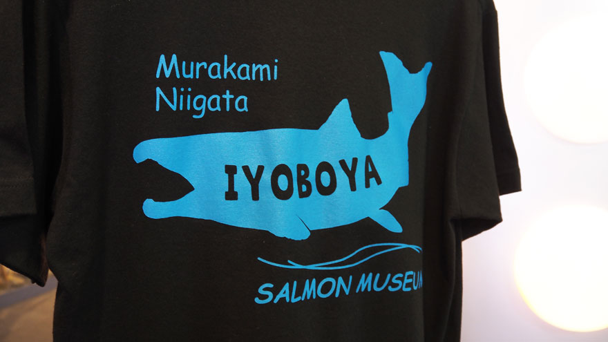 t%e3%82%b7%e3%83%a3%e3%83%84_%e3%83%90%e3%83%83%e3%82%af%e3%83%97%e3%83%aa%e3%83%b3%e3%83%88