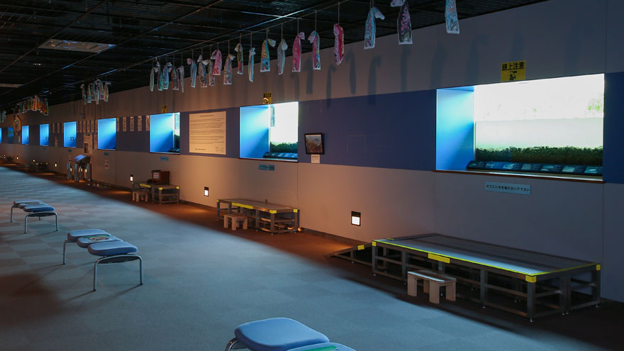 %e8%a6%b3%e5%af%9f%e7%aa%93