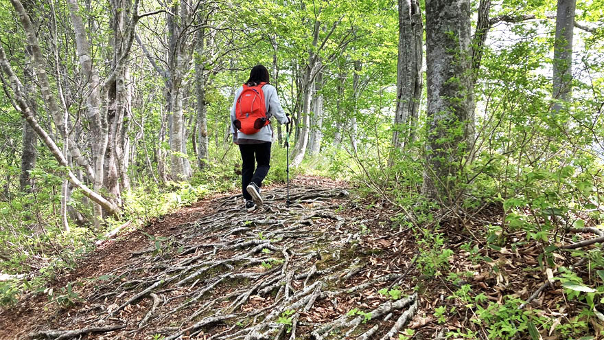 %e6%97%a5%e6%9c%ac%e5%9b%bd%e7%99%bb%e5%b1%b1