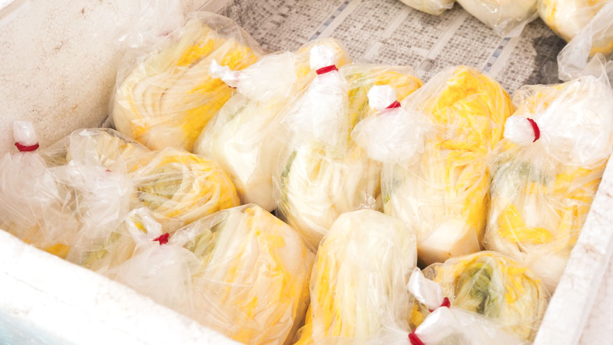 %e7%99%bd%e8%8f%9c%e6%bc%ac%e3%81%91