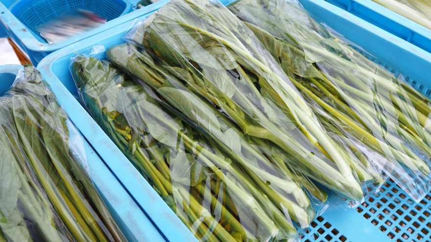 %e3%82%aa%e3%83%bc%e3%82%bf%e3%83%a0%e3%83%9d%e3%82%a8%e3%83%a0