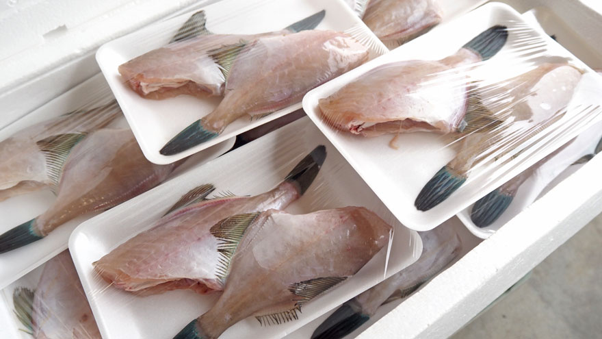 %e3%82%ab%e3%83%af%e3%83%8f%e3%82%ae