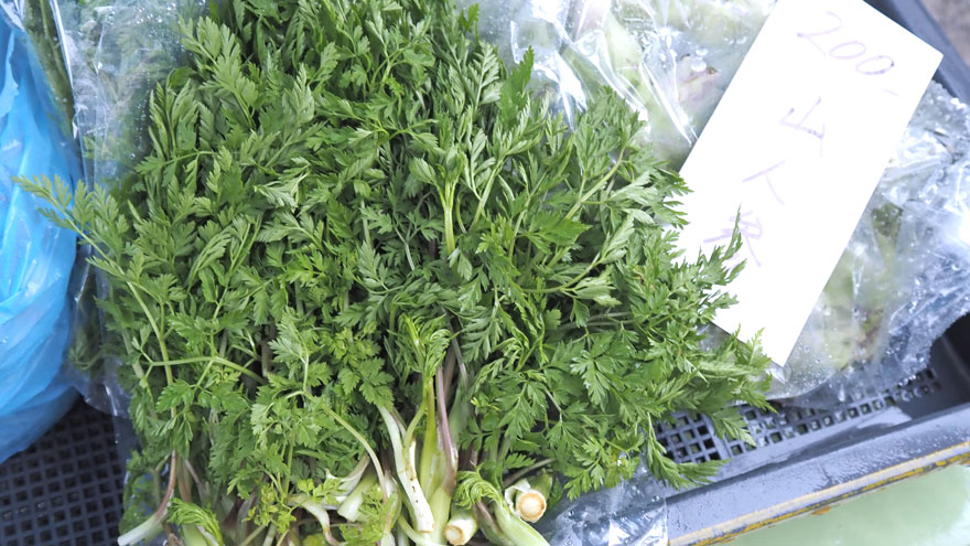 %e5%b1%b1%e3%83%8b%e3%83%b3%e3%82%b8%e3%83%b3