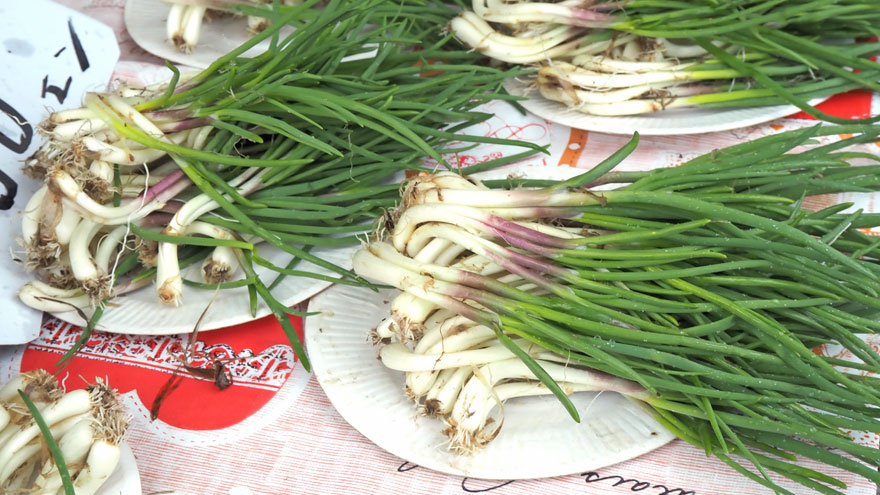 %e3%82%a2%e3%82%b5%e3%83%84%e3%82%ad