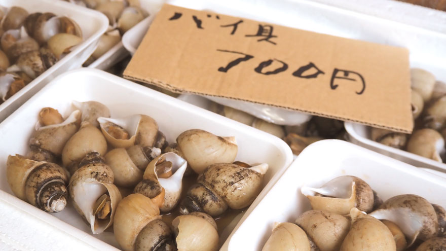 %e3%83%90%e3%82%a4%e8%b2%9d