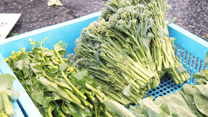 %e3%82%b9%e3%83%86%e3%83%83%e3%82%af%e3%83%bb%e3%82%aa%e3%83%bc%e3%82%bf%e3%83%a0%e3%83%9d%e3%82%a8%e3%83%a0