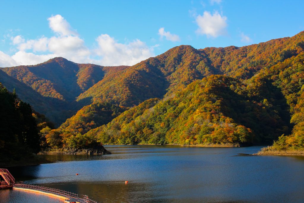 二子島森林公園の紅葉 村上市観光協会 鮭 酒 人情 むらかみ 二子島森林公園の紅葉 村上市観光協会 鮭 酒 人情 むらかみ