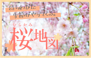 むらかみ桜地図