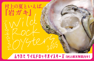ワイルドロックオイスターズ