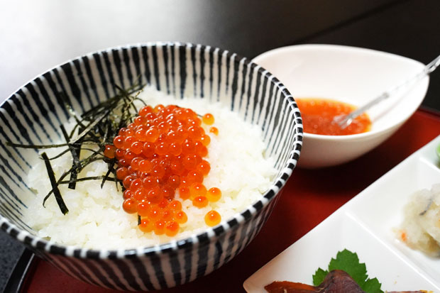 %e5%96%84%e8%94%b5%e3%81%ae%e3%81%af%e3%82%89%e3%81%93%e4%b8%bc