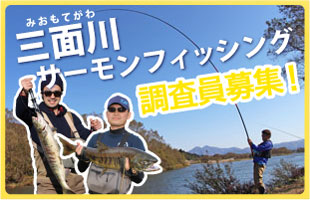 三面川サーモンフィッシング調査員募集